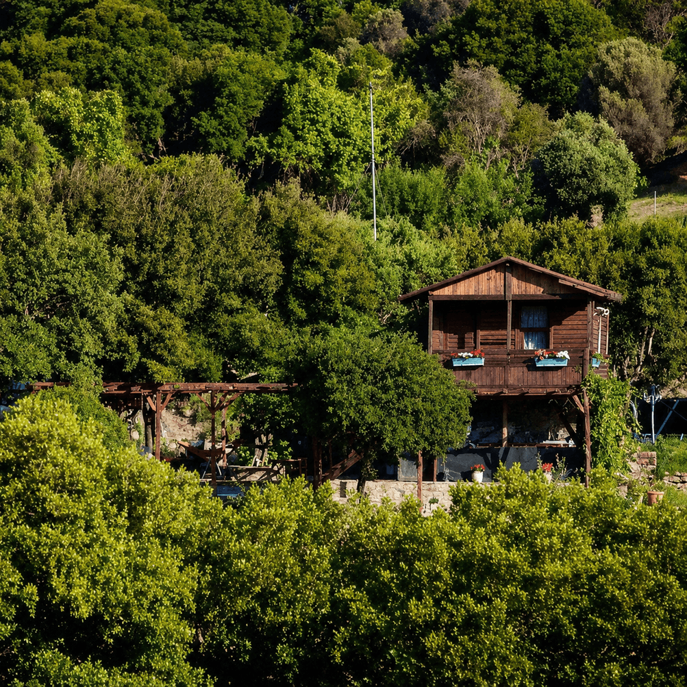 Gökçeada'da yeşilliklerin içindeki Cugura Organik çiftlik evi